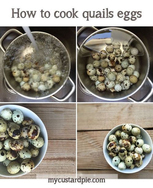 How To Cook A Quail Egg 