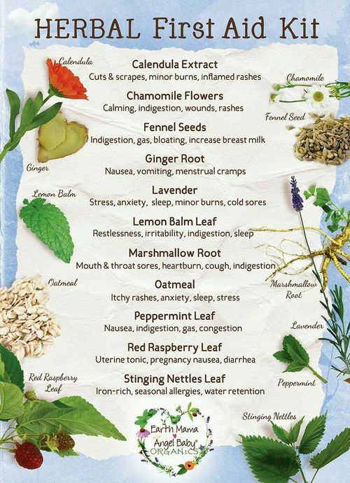 Use Sage Herb Tea To Enhance Your Health 