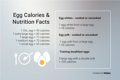 How Many Calories in an Egg