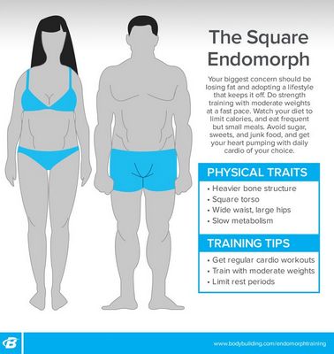 Weight Training For Your Endomorph
